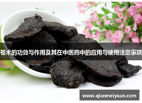 苍术的功效与作用及其在中医药中的应用与使用注意事项