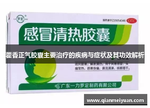 藿香正气胶囊主要治疗的疾病与症状及其功效解析