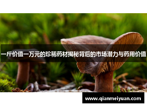 一斤价值一万元的珍稀药材揭秘背后的市场潜力与药用价值