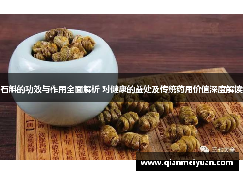 石斛的功效与作用全面解析 对健康的益处及传统药用价值深度解读